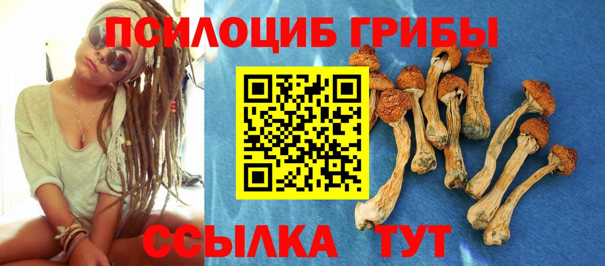 Нововоронеж  где купить   Галлюциногенные грибы Psilocybe  Вход с VPN  Псилоцибиновые грибы прущие грибы 